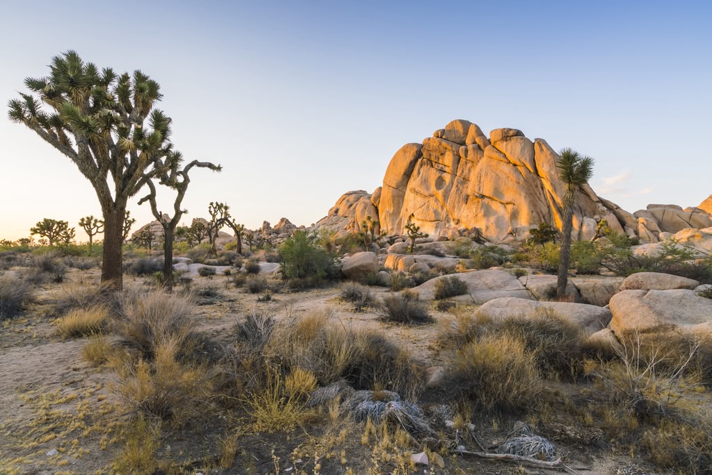 Palm Desert California